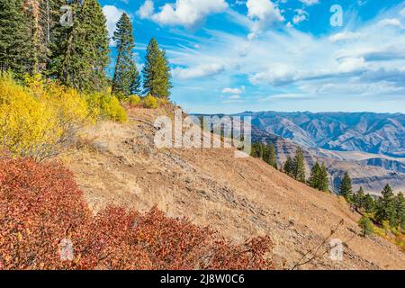 Landschaft am Hells Canyon Overlook in Oregon USA an einem sonnigen Herbsttag. Stockfoto