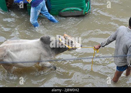 Sylhet, Mexiko-Stadt, Bangladesch. 17.. Mai 2022. Die Menschen gehen mit der Rikscha auf der versunkenen Straße ans Ziel. Viele Straßen auf Sylhet entlang des Flusses wurden aufgrund der anhaltenden starken Regenfälle für mehrere Tage eingetaucht. Das Wasser aller Flüsse der Sylhet-Division, einschließlich des Surma-Flusses von Sylhet, fließt über die Gefahrenzone. Am 17. Mai 2022 in Sylhet, Bangladesch. (Bild: © MD Rafayat Haque Khan/eyepix via ZUMA Press Wire) Stockfoto