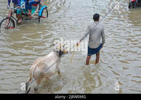 Sylhet, Mexiko-Stadt, Bangladesch. 17.. Mai 2022. Die Menschen gehen mit der Rikscha auf der versunkenen Straße ans Ziel. Viele Straßen auf Sylhet entlang des Flusses wurden aufgrund der anhaltenden starken Regenfälle für mehrere Tage eingetaucht. Das Wasser aller Flüsse der Sylhet-Division, einschließlich des Surma-Flusses von Sylhet, fließt über die Gefahrenzone. Am 17. Mai 2022 in Sylhet, Bangladesch. (Bild: © MD Rafayat Haque Khan/eyepix via ZUMA Press Wire) Stockfoto