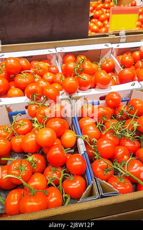 Reife rote Tomaten in Pappkartons in einem Geschäft platziert Stockfoto