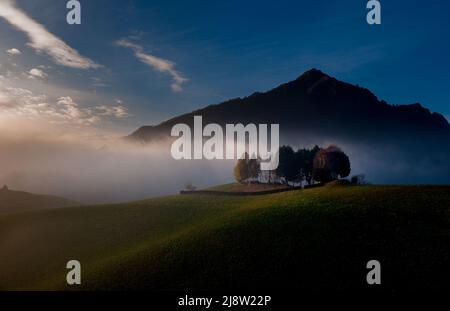 Hügel mit Hütte umgeben von Bäumen Stockfoto