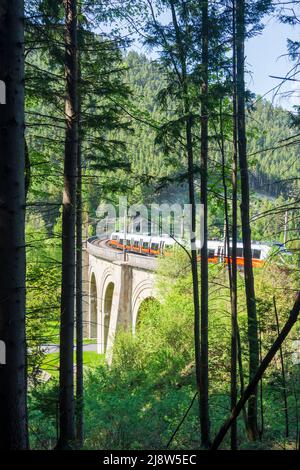 Breitenstein: Semmeringbahn, Viadukt Adlitzgraben-Viadukt, Regionalzug von ÖBB in Wiener Alpen, Alpen, Niederösterreich, Unteraustr Stockfoto