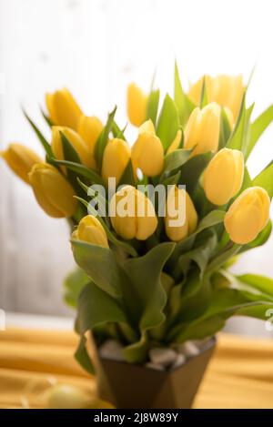 Ein Bouquet von gelben Tulpen aus der Nähe. Schöne gelbe Blüten mit grünen Blättern. Hintergrund mit Blumen. Blumen für den Urlaub. Viele Knospen gelb Stockfoto