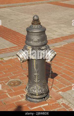 Ein grauer Hydrant neben einem grauen Auto. Alter Hydrant. Stockfoto