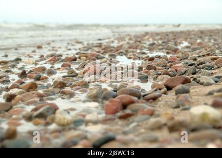 Steine liegen wunderschön an der Küste. Steine auf dem Sand. Viele bunte Muscheln und Steine liegen am Strand an einem sonnigen Tag mit blauem Himmel und einem Stockfoto