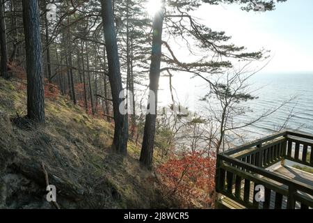 Holztreppe im Wald. Serpentinentreppe. Schöner Meerblick von oben. Stockfoto