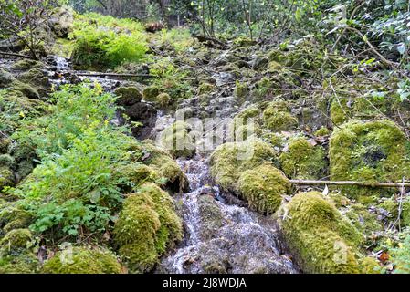 Bach in einem Tal zwischen Gras und kleinen Steinen Stockfoto