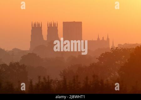 York Minster bei Sonnenaufgang, North Yorkshire, Großbritannien Stockfoto