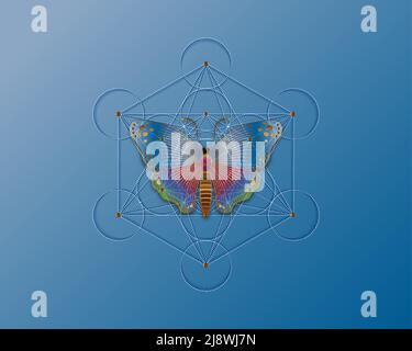 Schmetterling über Metatrons Würfel, Blume des Lebens. Heilige Geometrie. Mystic Icon platonische Körper Merkabah, abstraktes geometrisches, farbenfrohes Gradienten-Design Stock Vektor