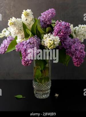 Bouquet von bunten Fliederblumen in einer Glasvase auf dunklem Hintergrund. Stockfoto