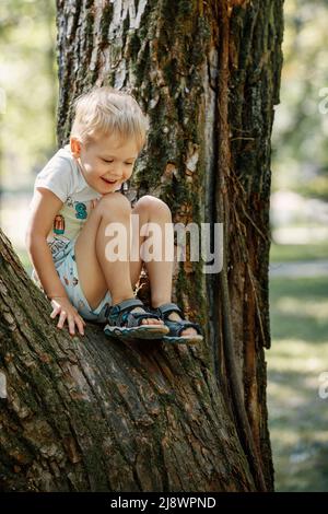 Fröhlicher kleiner Junge, der auf dem großen Baum klettert und die Natur erkundet. Glückliches Kind, das im Park spielt. Verspieltes Kind, das auf einem Sommertag Spaß im Wald hat Stockfoto