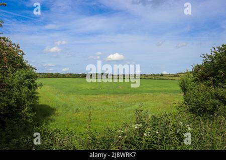 Offene Landschaft, in der Nähe von Thurstaston, Wirral - Grüne Felder mit blauem Himmel Stockfoto