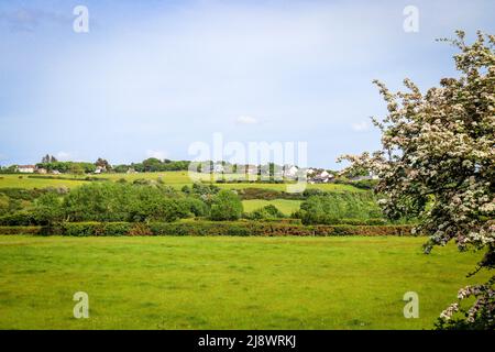 Häuser / Haus auf einem Hügel in der Nähe von Thurstaston, Wirral / Offene Landschaft mit Blütenbaum Stockfoto