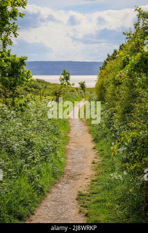 Weg vom Wirral Weg Richtung Meer/Strand/Thurstaston Stockfoto