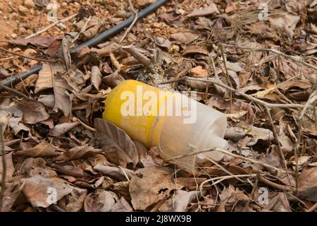 Nahaufnahme einer gebrauchten und ausrangierten pheromonalen Falle, um Individuen der Art Ceratitis capitata oder Mittelmeerfliege anzuziehen Stockfoto