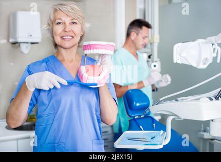 Zahnarzt erklärt korrektes Zähneputzen am Zahnmodell Stockfoto