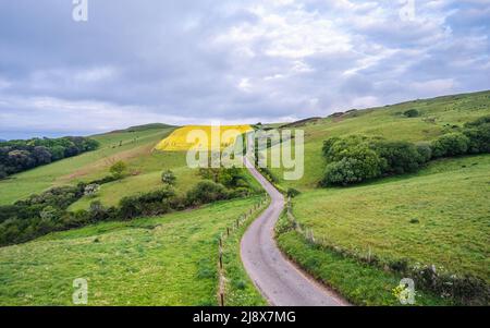 Sonnenaufgang über Rapsfeld und Ackerland von einer Drohne, Dorset, England Stockfoto