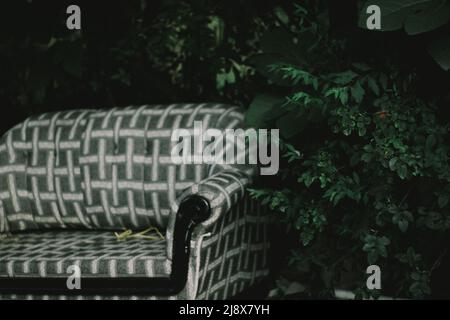 Vintage Sofa in der Natur Stockfoto