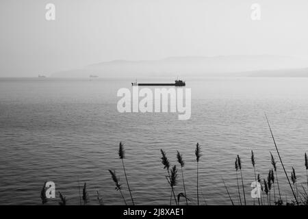 Ein Schwarz-Weiß-Foto eines Frachtschiffes im Meer Stockfoto