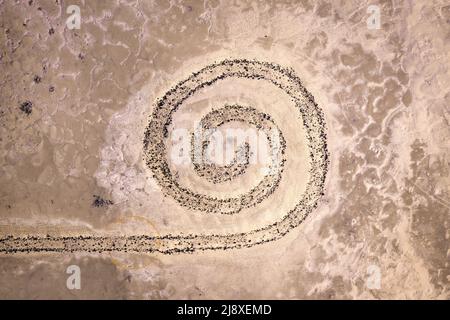 Spiral Jetty entlang des Great Salt Lake von Utah, Draufsicht von oben nach unten. Stockfoto