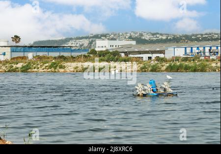 Ein künstlicher Teich für den Fischanbau in einem Kibbuz im Norden Israels. Stockfoto