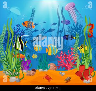Sea Life Tiere Pflanzen Zusammensetzung farbige Karikatur mit Meeresleben Und verschiedene Arten von Algen Vektor-Illustration Stock Vektor