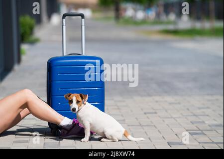 Gesichtslose Frau in Shorts sitzt mit einem Haustier auf dem Bürgersteig. Ein Hund zu Füßen seines Besitzers auf der Straße. Ein Mädchen reist mit einem Blau Stockfoto