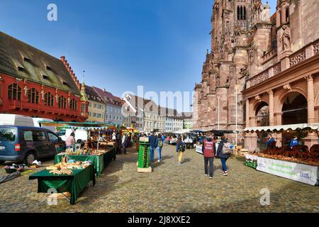 Freiburg, Deutschland - April 2022: Täglicher Markt mit lokalen Produkten am Munsterplatz mit hohem munstergebäude im Stadtzentrum Stockfoto