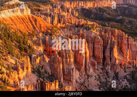 Pink Cliffs und Hoodoos unterhalb des Neon Canyon Butte, aufgenommen vom Rainbow Point im Bryce Canyon National Park, Tropic, Utah. Stockfoto