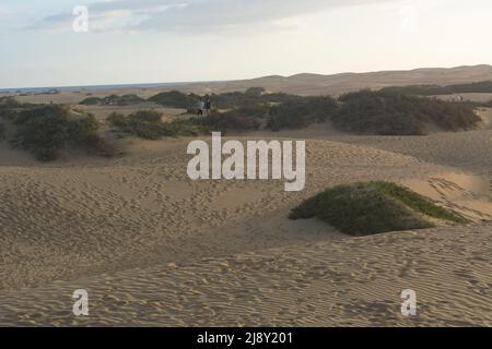 Ineinandergreifende Muster im Sand - Sanddünen, Maspalomas, Cran Canaria Stockfoto