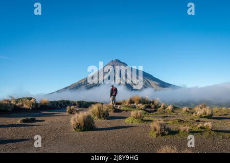 Wanderpfad Pouakai Circuit Track. Wanderer mit Blick auf den Berg Taranaki. Neuseeland. Stockfoto