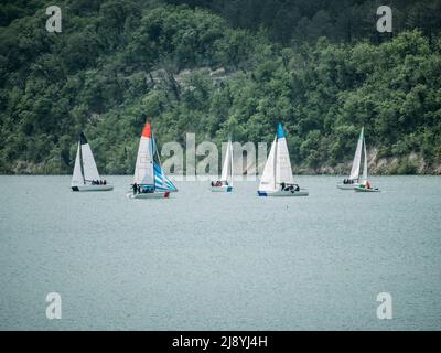 Gruppe von kleinen Yachten oder Booten mit Segel auf See am Frühlingstag. Stockfoto