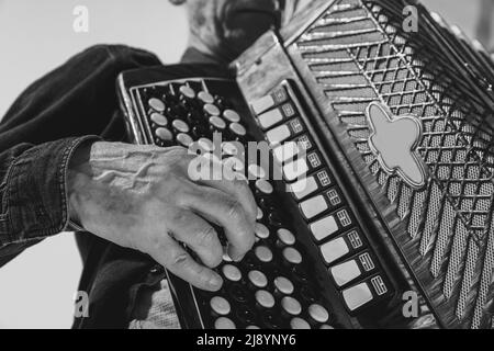 Monochromes Porträt eines senioten Mannes, Retro-Musiker, der die Ziehharmonika auf weißem Hintergrund spielt. Konzept von Kunst, Musik, Stil, ältere Generation Stockfoto