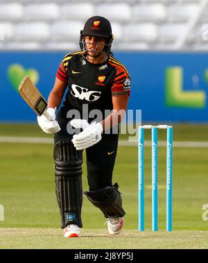 BECKENHAM ENGLAND - MAI 18 : Sunrisers Naomi Dattani während des Charlotte Edwards Cup zwischen Sunrisers gegen Western Storm auf dem Cloud County Ground, Stockfoto