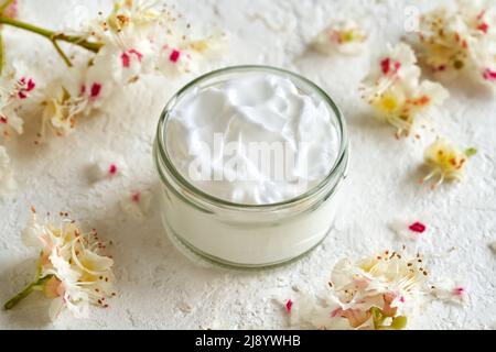 Ein Glas mit weißer Salbe oder Creme aus Rosskastanienblüten. Kräutermedizin. Stockfoto