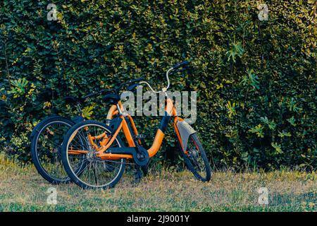 2 orangefarbene Fahrräder vor einer mit grünen Blättern bedeckten Wand in der Türkei Stockfoto