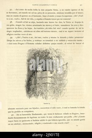 Seite von Orlando Furioso illustriert von Gustave Dore, eine mittelalterliche Ritterromantik, spanischer Text Stockfoto