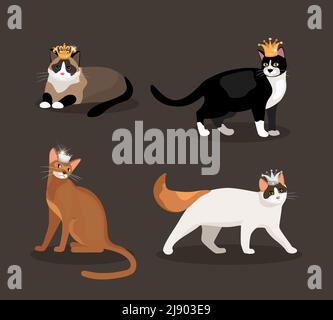 Set von vier Katzen mit Kronen mit verschiedenfarbigen Fell Eine stehende Walking liegend und sitzend Vektor-Illustration Stock Vektor