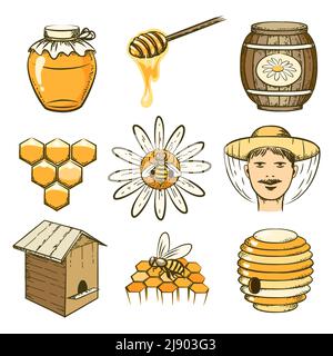 Vektor handgezeichnete Imkerei, Honig und Bienen Ikonen. Lebensmittel süß, Insekten und Zelle, Fass und Wabe Illustration Stock Vektor