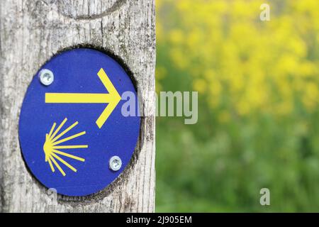 schild mit Pfeil auf dem Jakobsweg nach Santiago de Compostela in der niederländischen Landschaft Stockfoto
