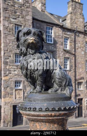 Die Statue von bobby vor greyfriars kirk edinburgh schottland, wo bobby der Hund begraben ist Stockfoto