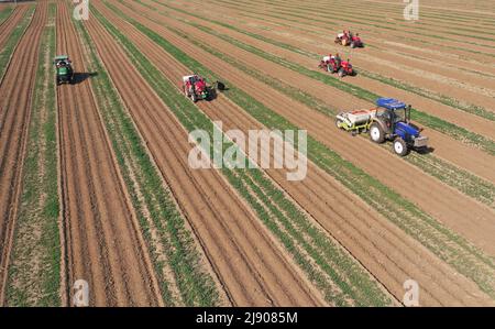 Shenyang. 11.. Mai 2022. Das Luftfoto vom 11. Mai 2022 zeigt Bauern, die in der Gemeinde Fanhe in Tieling, nordöstlich der chinesischen Provinz Liaoning, Maschinen zum Aussaaten von Sojasamen betreiben. Liaoning hat seine Anstrengungen im Bereich der Landwirtschaft verstärkt, da die Temperatur in letzter Zeit gestiegen ist. Bis Mai 17 hat die Erntefläche der Provinz im Frühjahr 48.645.000 mu (3.243.000 Hektar) erreicht. Quelle: Yang Qing/Xinhua/Alamy Live News Stockfoto