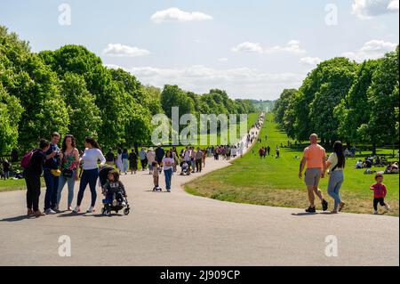 Blick vom Windsor Castle in den Windsor Great Park Stockfoto