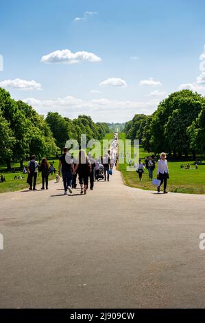 Blick vom Windsor Castle in den Windsor Great Park Stockfoto