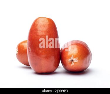 Nahaufnahme der Silberbeere auf isoliertem weißem Hintergrund. Stockfoto