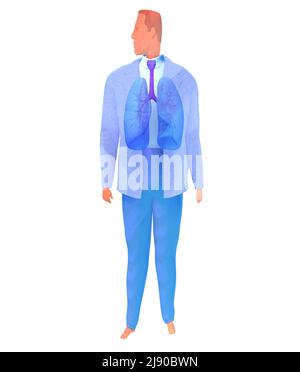 Aquarell Stil menschliche Atemwege 3D Abbildung. Anatomisches Bild eines Mannes von vorne gesehen. Stockfoto