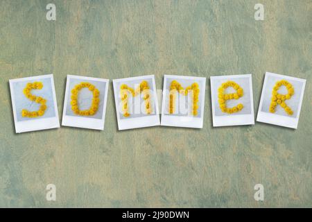 Wort sommer in deutscher Übersetzung des Sommers ist aus Polaroid-Fotos angelegt. Gelbe Dandelion-Blüten in Form von Buchstaben auf grünem Holzhintergrund mit Platz für Text. Sommerhintergrund. Flache Lage. Stockfoto