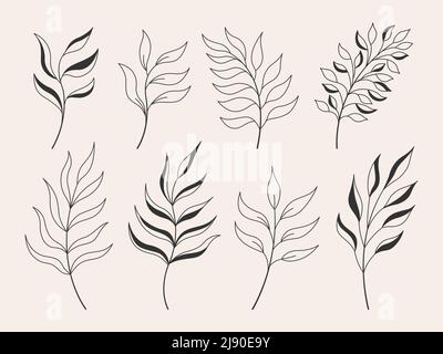 Minimalistische Pflanze und Kräuter. Florale Dekoration Baumzweige mit Blättern. Vektorgrafik. Stock Vektor
