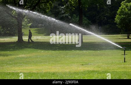 Berlin, Deutschland. 19.. Mai 2022. Eine Frau geht bei Temperaturen um 30 Grad Celsius durch den Zoo, während eine Sprinkleranlage den Rasen bewässert. Quelle: Wolfgang Kumm/dpa/Alamy Live News Stockfoto