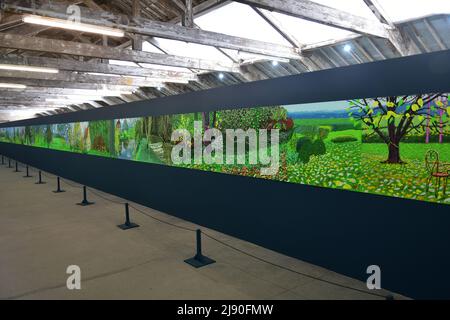 David Hockney Paintings, Ein Jahr in der Normandie, Salts Mill, West Yorkshire Stockfoto